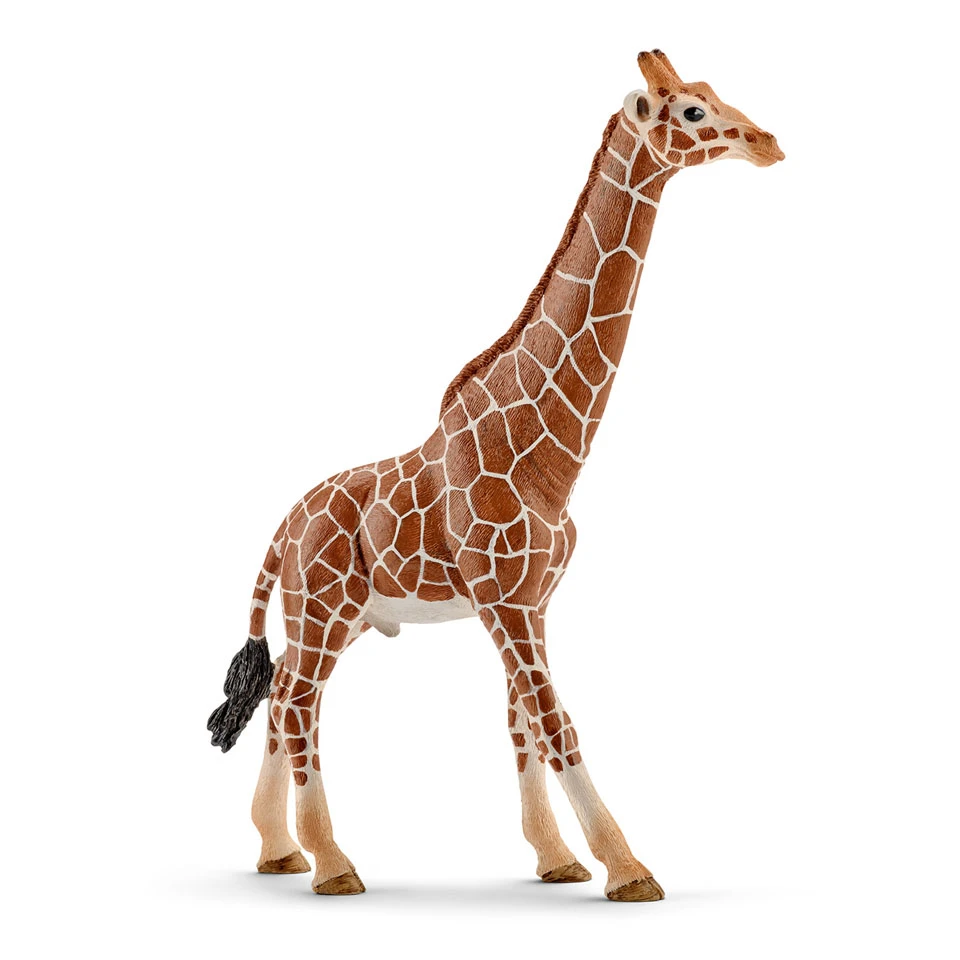Schleich WILD LIFE Giraffe Mannetje 14749 3 Schleich WILD LIFE Giraffe Mannetje 14749