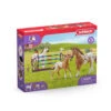 Schleich HORSE CLUB Toernooi Trainingsset 42433 -Toy Sheddekl Shop 1895126 ffd212c4